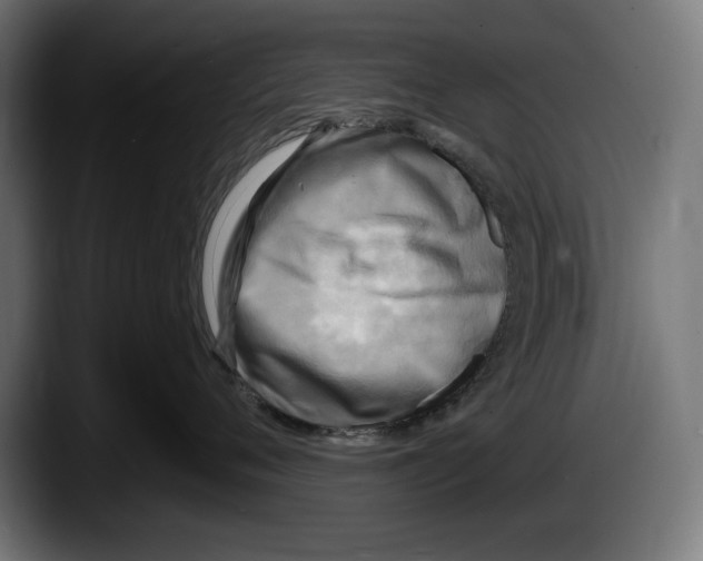 X0000087510720200705251619