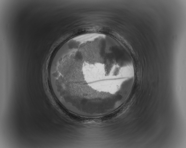 X0000087510721200705251618