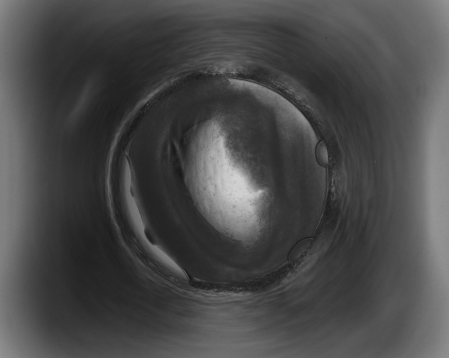 X0000087510722200705251618