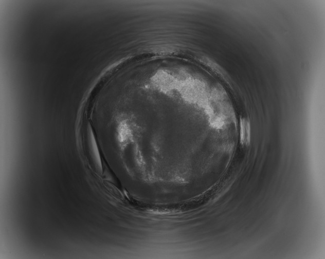 X0000087510723200705251618