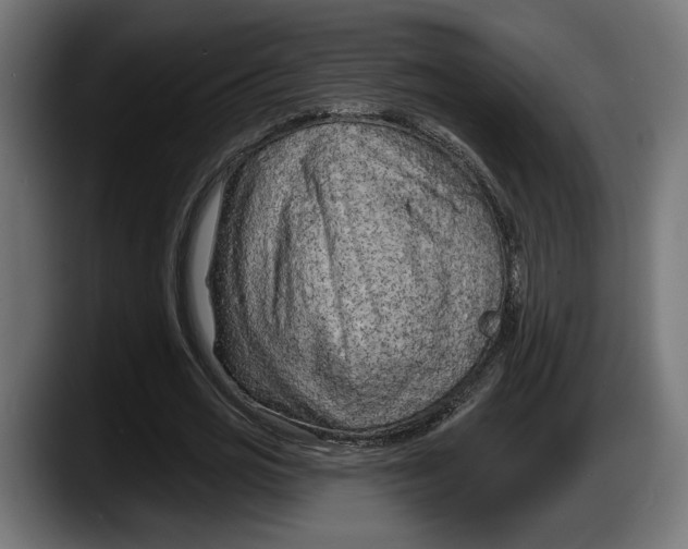 X0000087510725200705251618