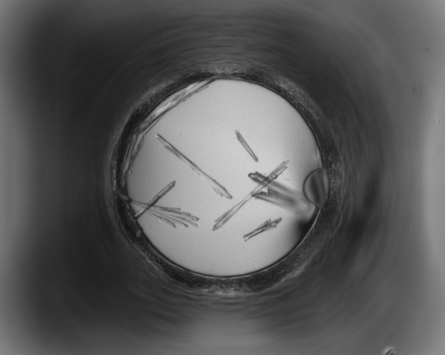 X0000087510727200705251618