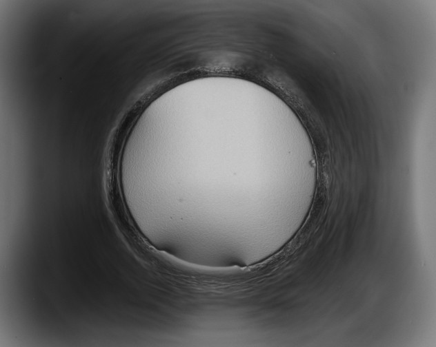 X0000087510728200705251618