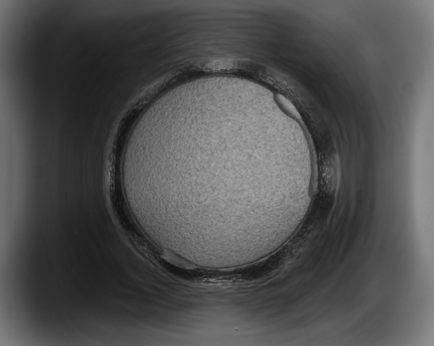 X0000087510732200705251618