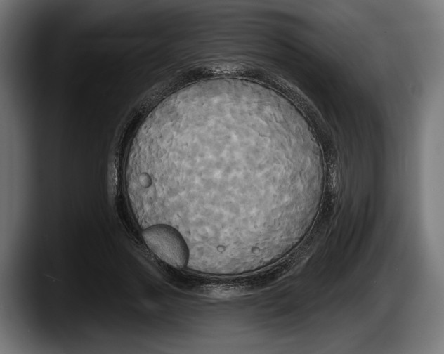 X0000087510733200705251618