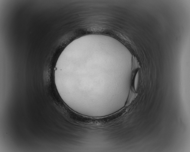 X0000087510735200705251618