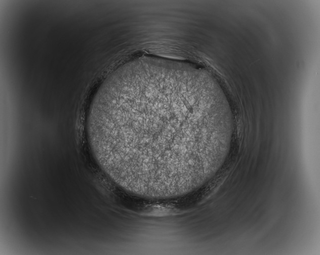 X0000087510737200705251618