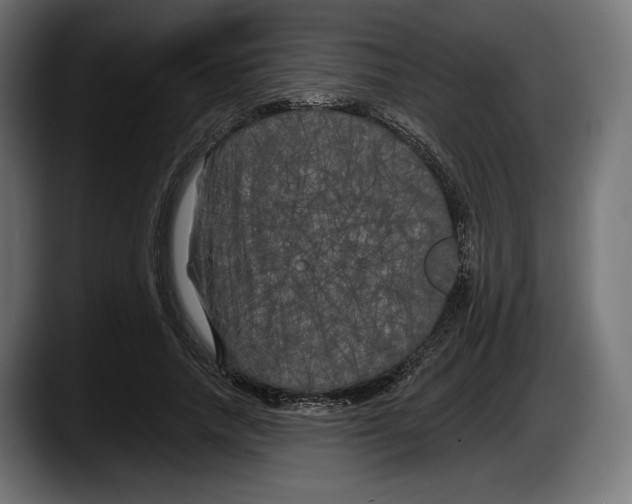 X0000087510738200705251618