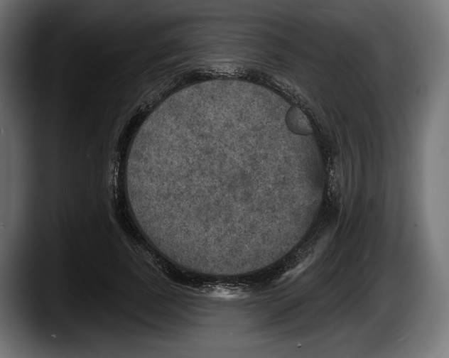 X0000087510739200705251618