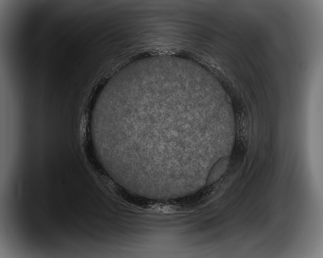 X0000087510742200705251618