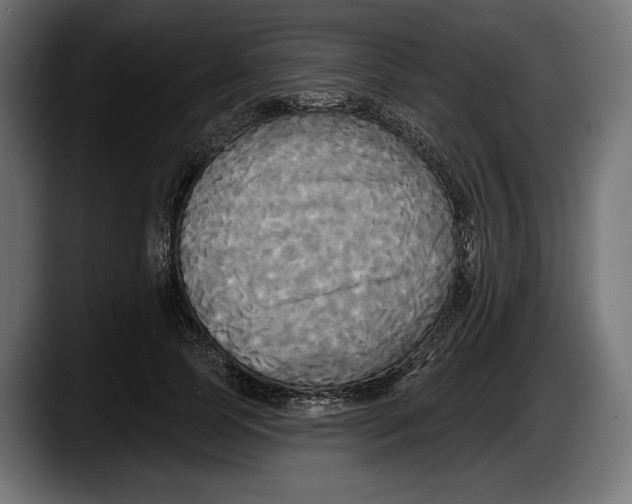 X0000087510745200705251619