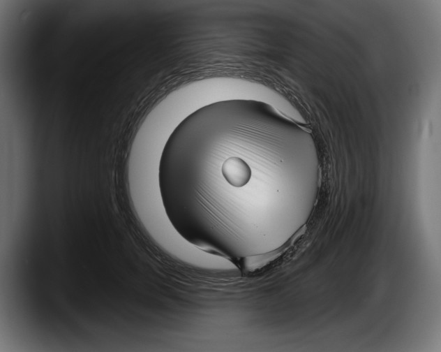 X0000087510750200705251619