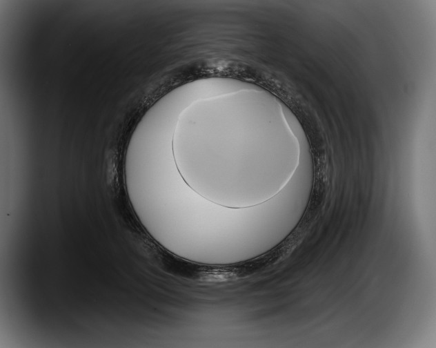 X0000087510754200705251619