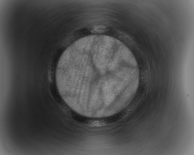 X0000087510755200705251619