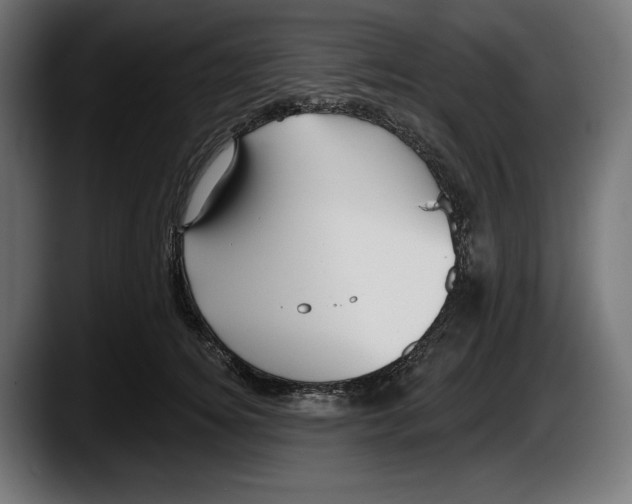 X0000087510756200705251619