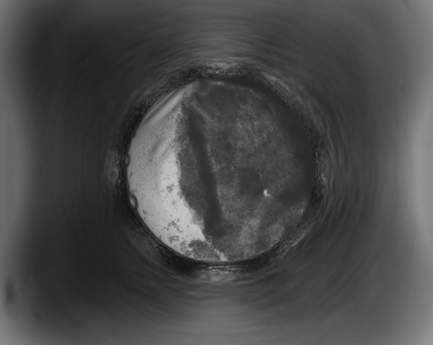 X0000087510758200705251619