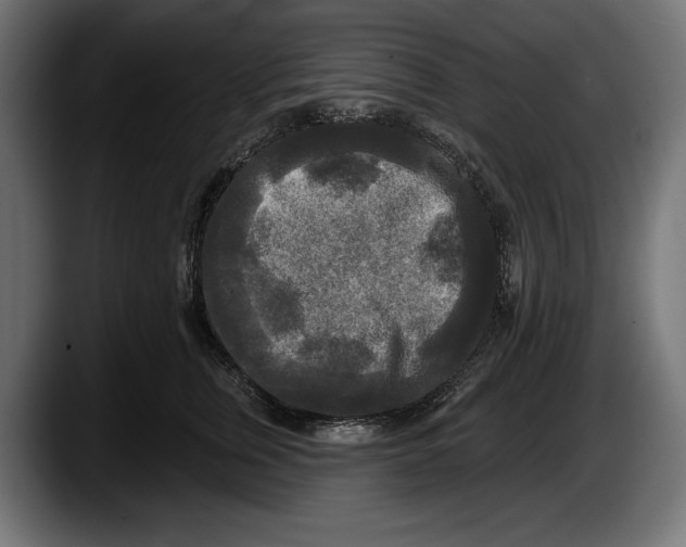 X0000087510759200705251619