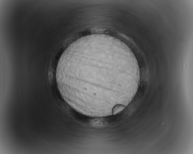 X0000087510761200705251619