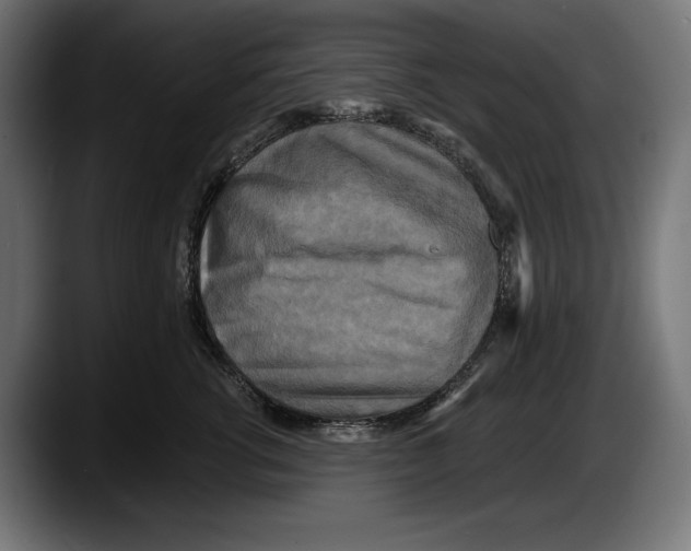 X0000087510762200705251619