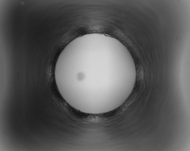 X0000087510764200705251619