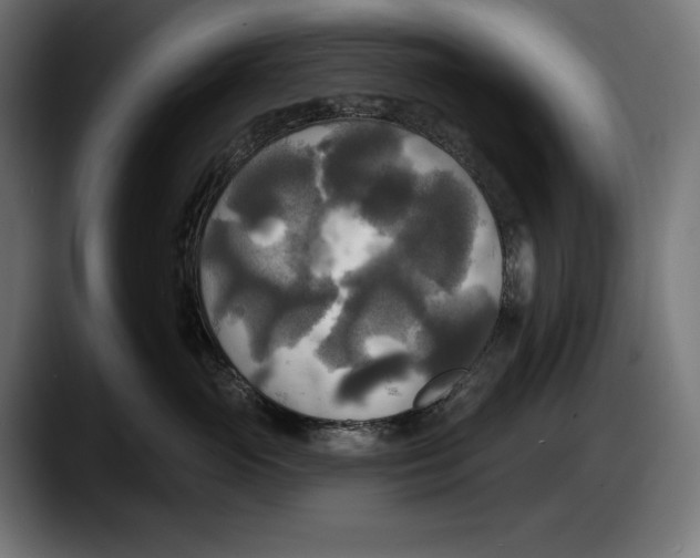 X0000087510765200705251619