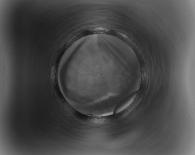 X0000087510767200705251619