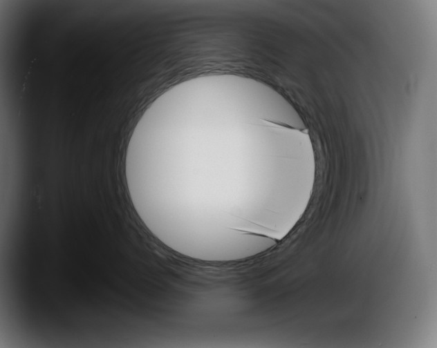 X0000087510768200705251619