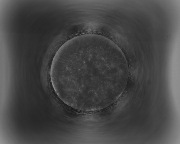 X0000087510769200705251618