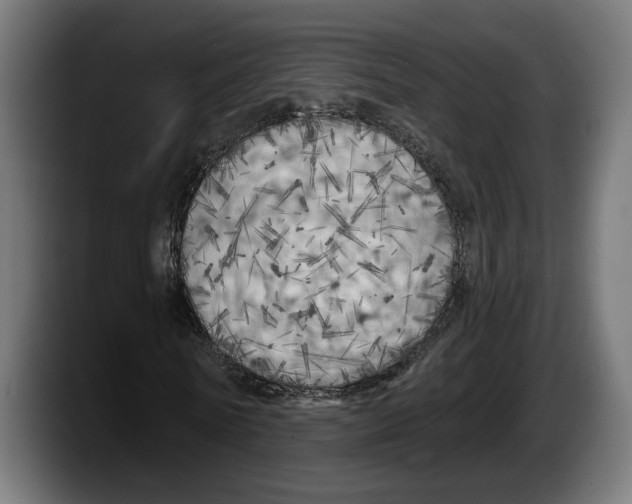 X0000087510770200705251618