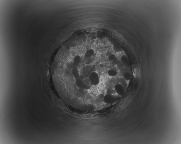 X0000087510771200705251618