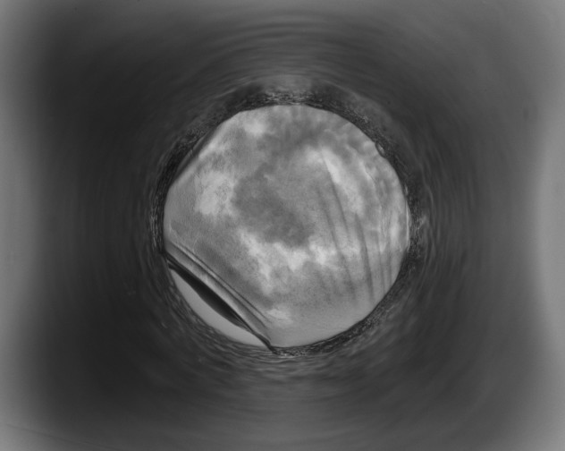 X0000087510772200705251618