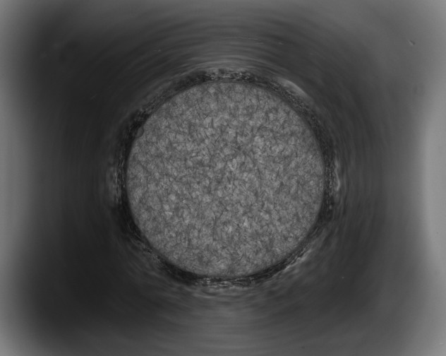 X0000087510774200705251618