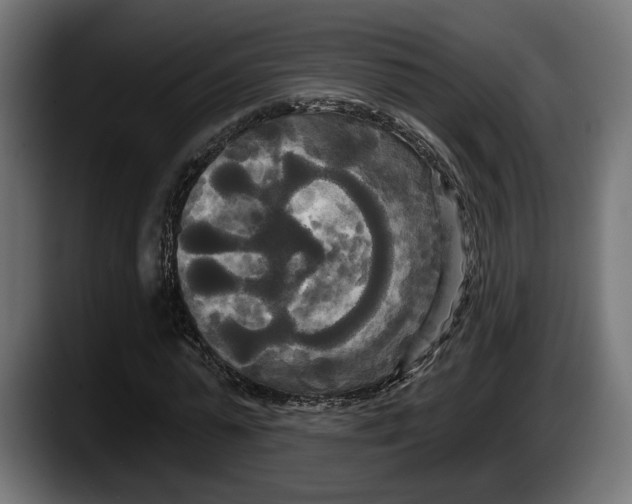 X0000087510775200705251618