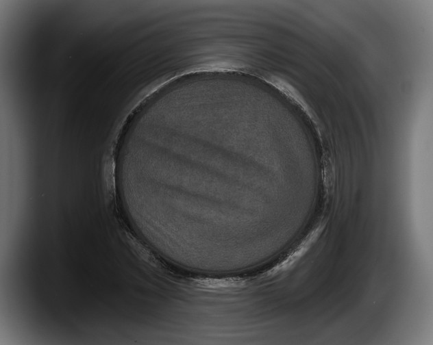 X0000087510781200705251618