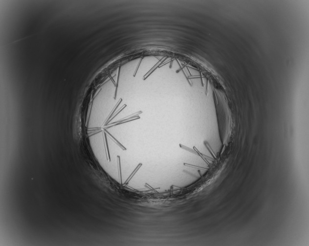 X0000087510782200705251618