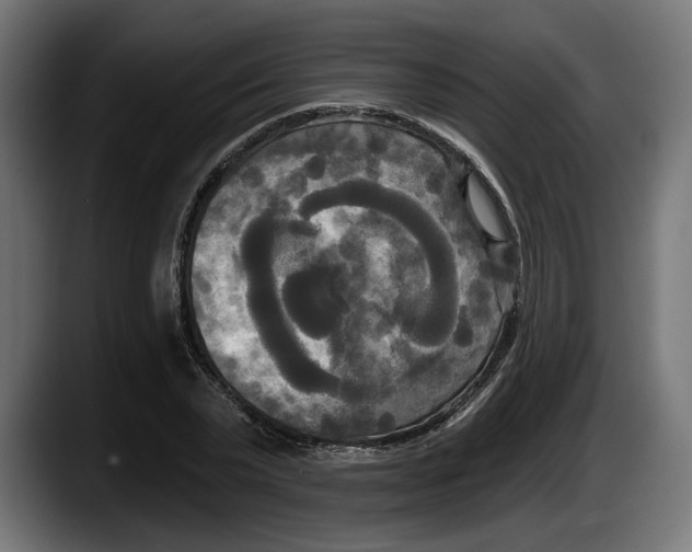 X0000087510783200705251618