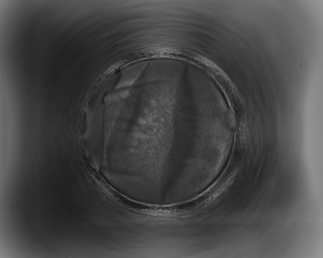 X0000087510785200705251618