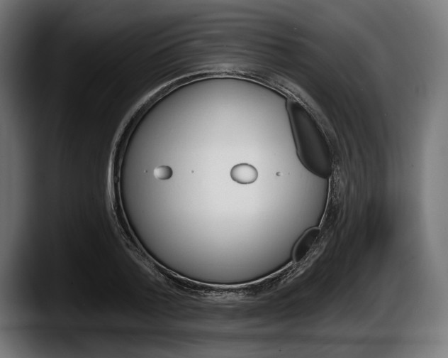 X0000087510788200705251618