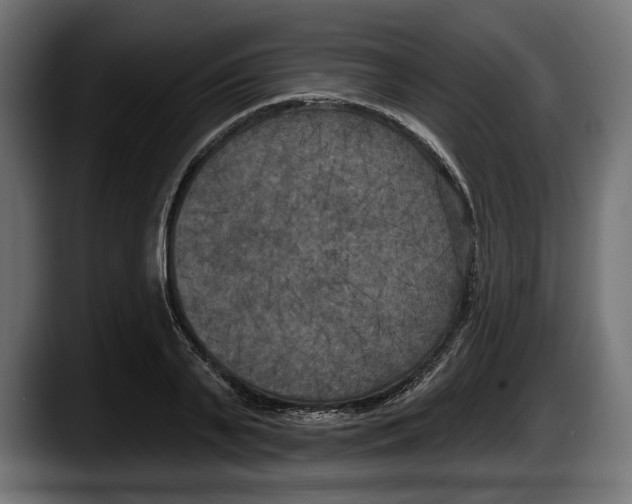 X0000087510791200705251618