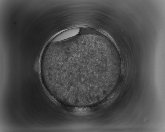 X0000087510795200705251618