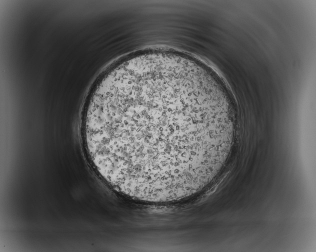 X0000087510799200705251618