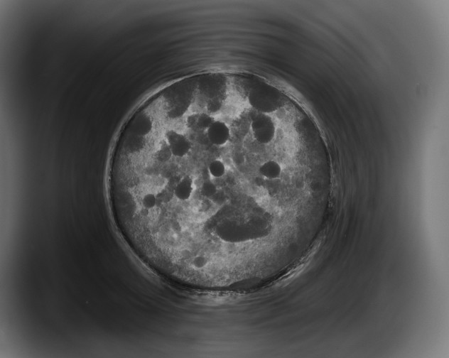 X0000087510803200705251618