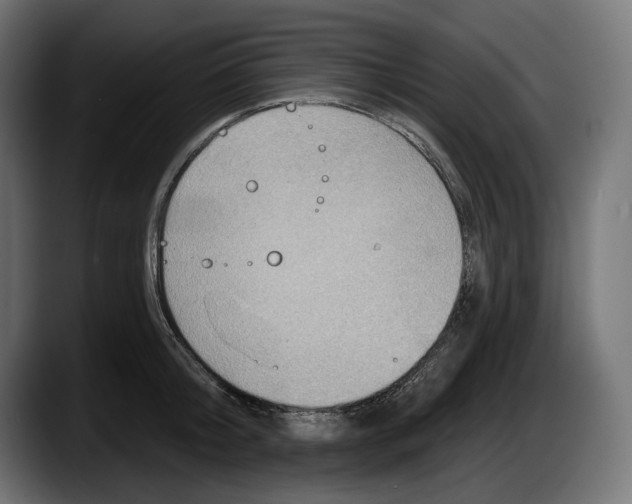 X0000087510804200705251618