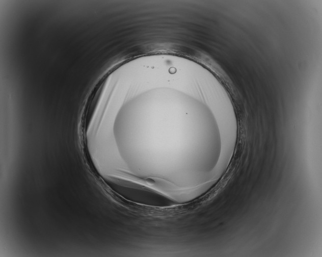 X0000087510806200705251618