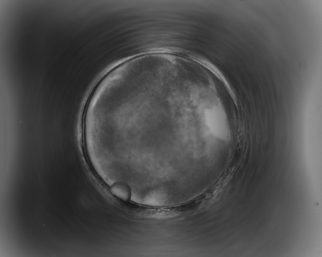 X0000087510811200705251618