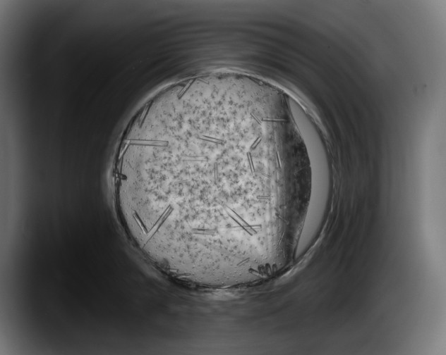 X0000087510814200705251618