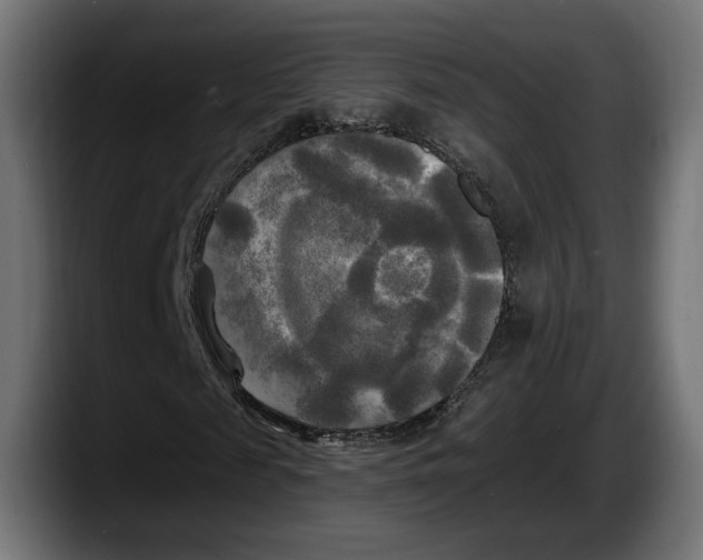 X0000087510817200705251617