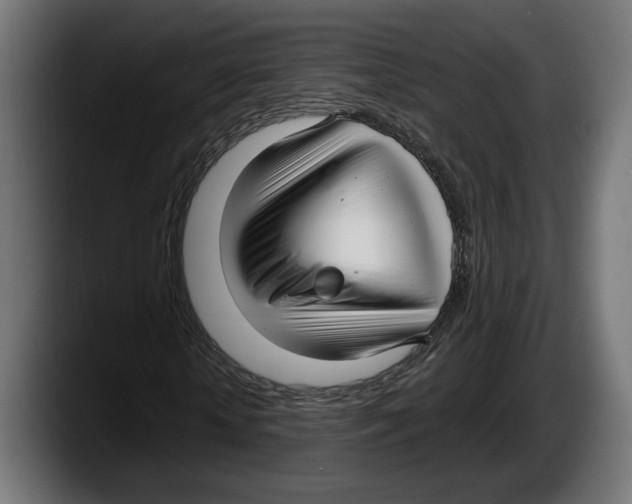 X0000087510818200705251617