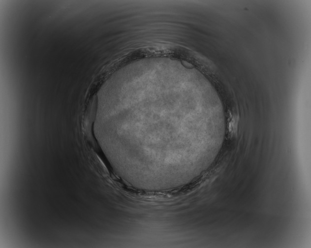 X0000087510819200705251617