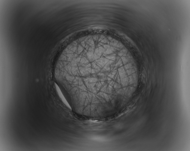 X0000087510821200705251617